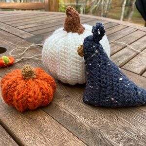 Fall decor-2 pumpkins, pumpkin/cat garland and baby chicken.  All 4 pieces.